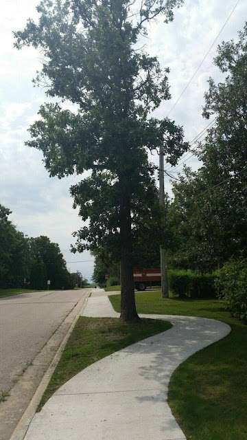 daily_picdump_4404_640_high_33.