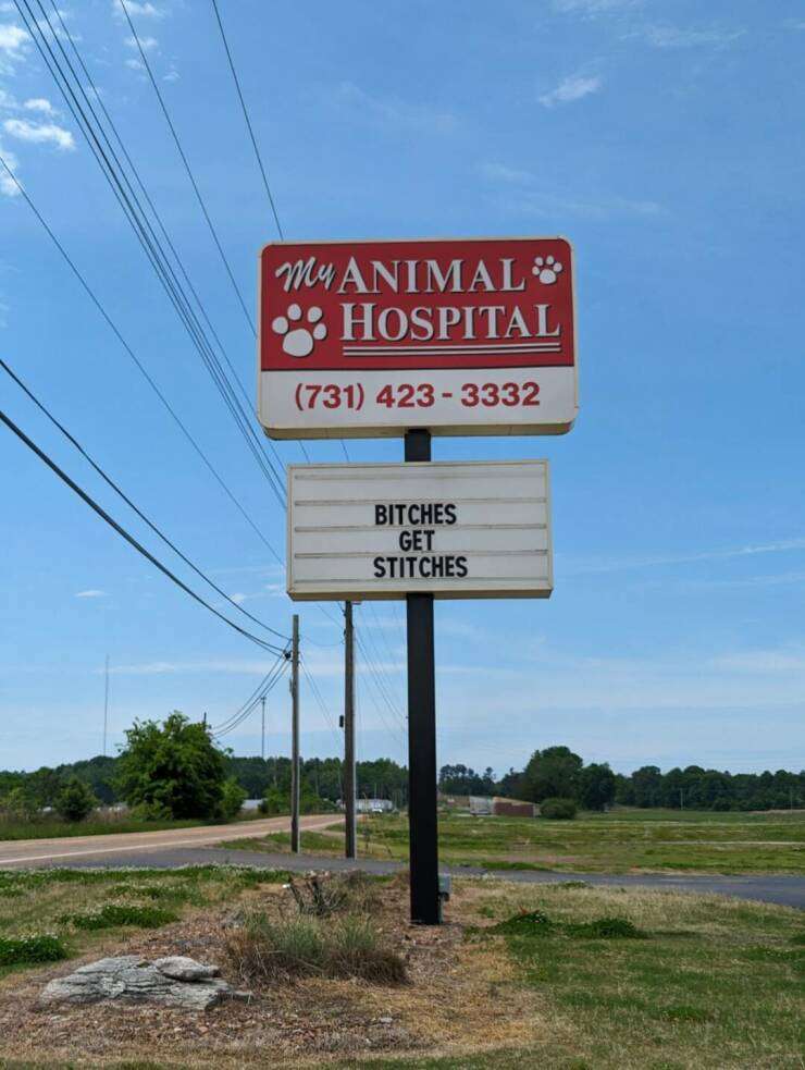 daily_picdump_4625_640_high_57.