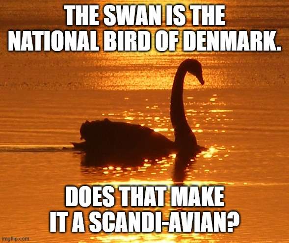 DANES.