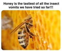 DDA40A3A-C645-4D82-9132-127CF2B0E057.