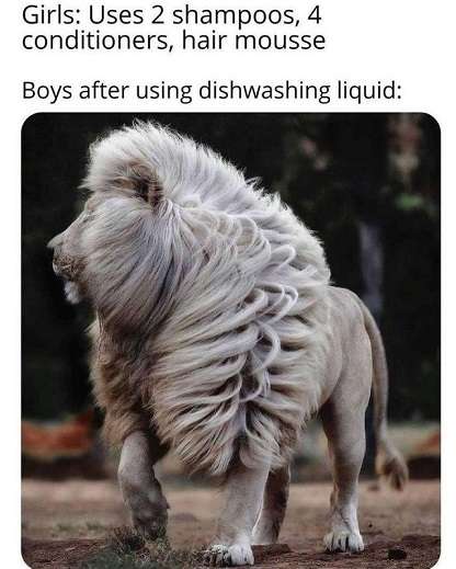 Dishwasher-liquid.