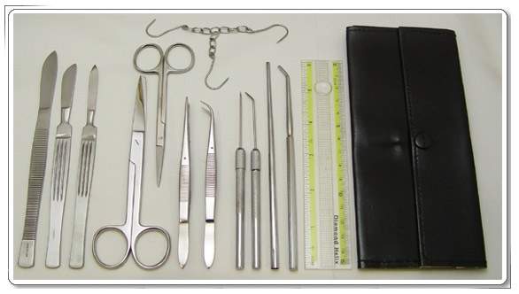 Dissecting_Kits_Anatomy_Dissecting_Kit_67_39.