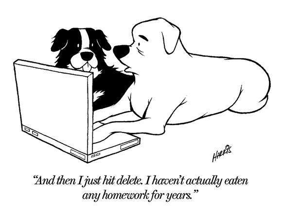 dog-homework.