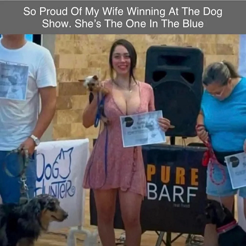Dog-show-winner.