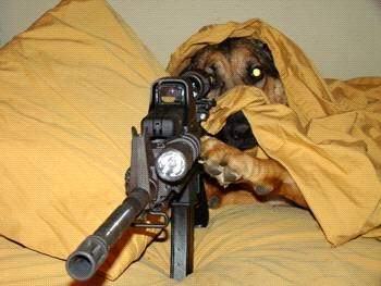 Dog Sniper2.