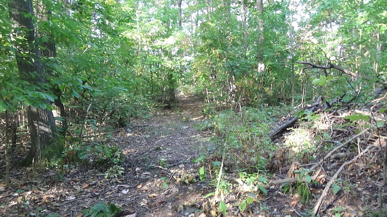 DSC00837.JPG