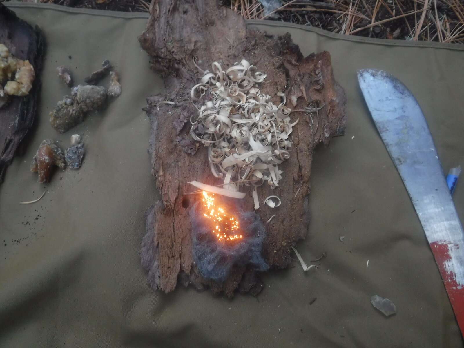 DSCF4569.JPG