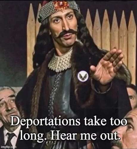 e2b44370165c9dca0ec5f7507cedeafb1843313f_2_460x500.