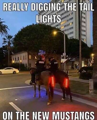 e33eae70c1e3aef3e82e0401b0d304c06e53628d_2_405x500.