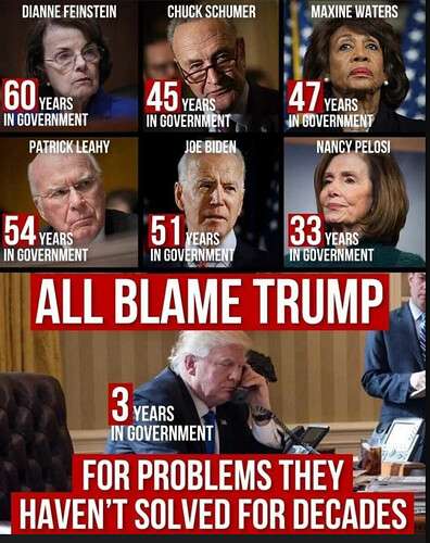 e4e6fdc245a901405c1bde55d4bc7985b2a1d549_2_396x500.