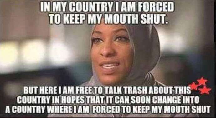 e84e2cf2418882b0410e954ee763d4c982bdb3dd_2_690x378.