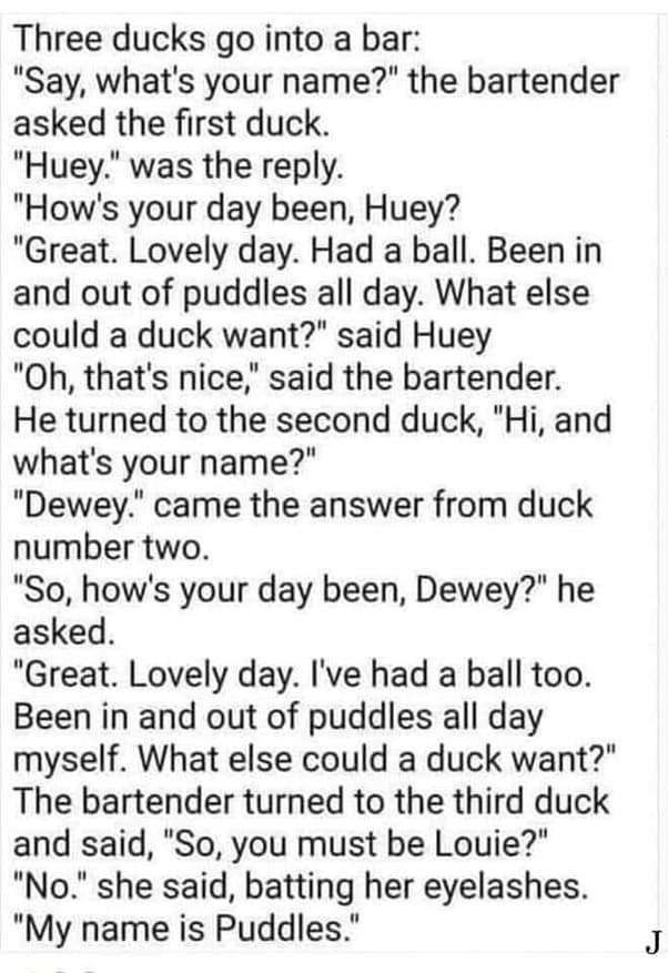 e9a3fa9f494c4b7e23d2b870cb5a4b713489d3cd.