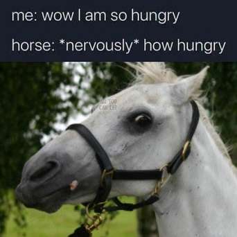 Eat-a-horse.