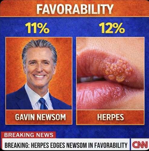 efeea408d45c47c5f186b0418c4c0d7e1491f350_2_493x500.