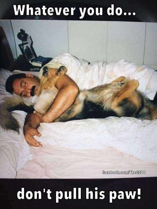 effa8027e86d45a2145fd778e6fb4ecc984f96d4.