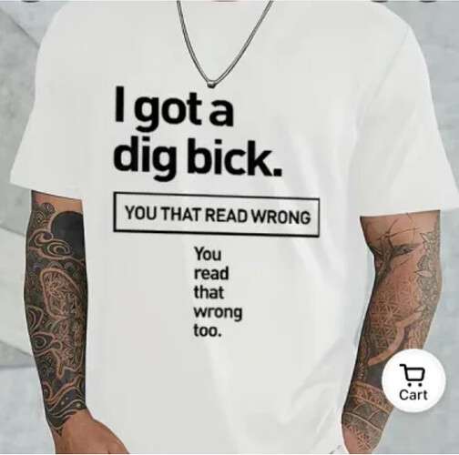 f06d782041942582c5945016e3b564c4f829dc8f_2_504x500.