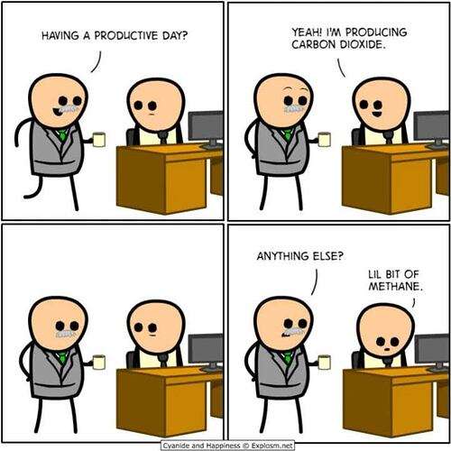 f62b9310f330e22e8ed70b745583c750145819f8_2_500x500.