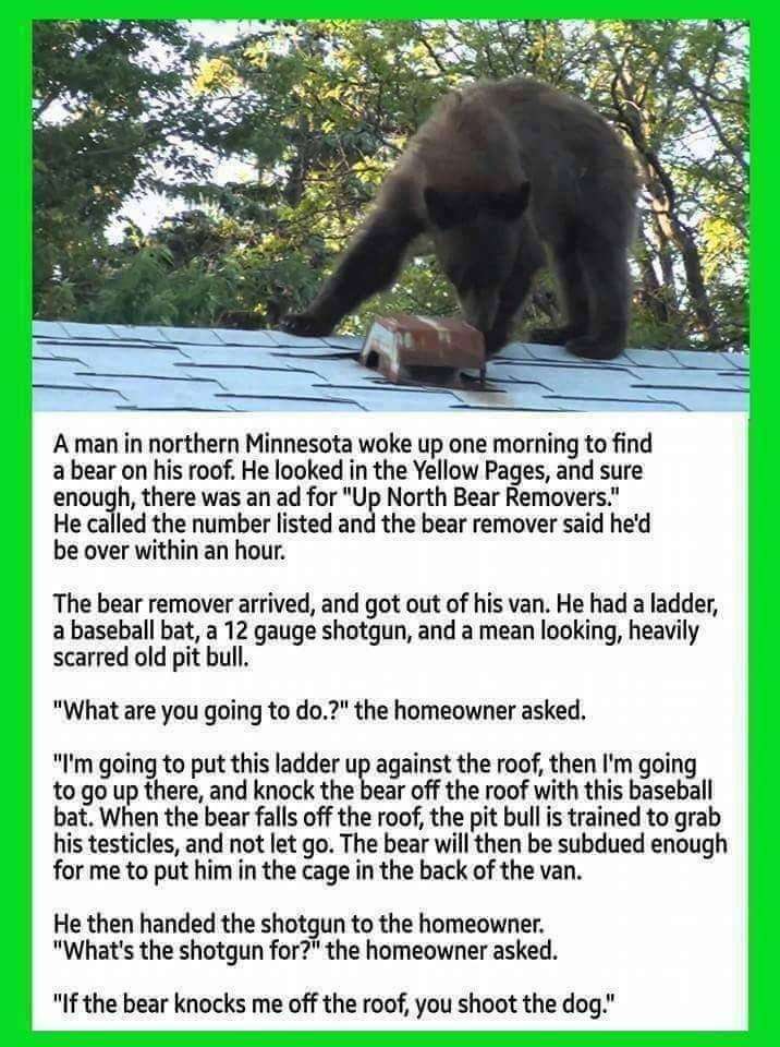 facebook_1711107760144_7176906122806762213.