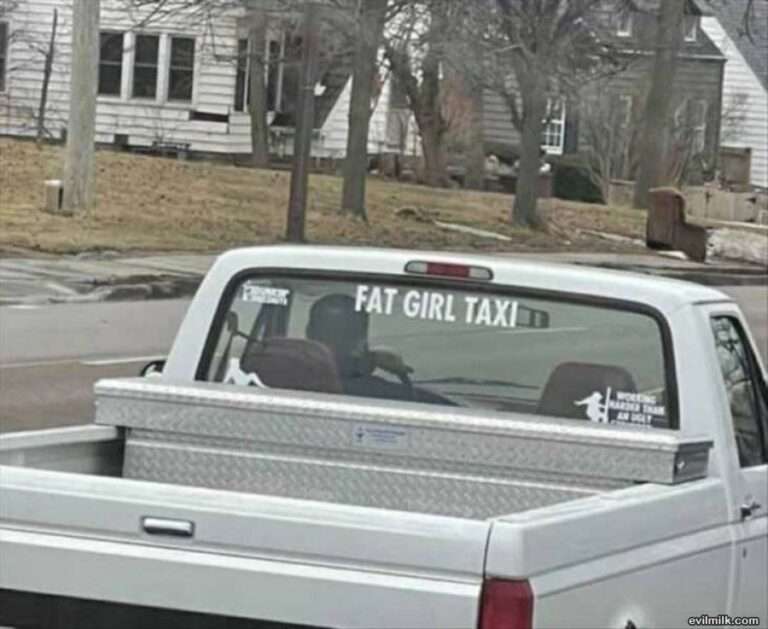 Fat-girl-taxi-768x629.