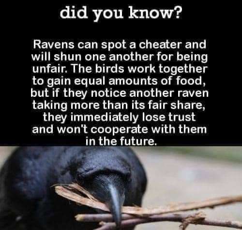 FB_IMG_1678727787907.