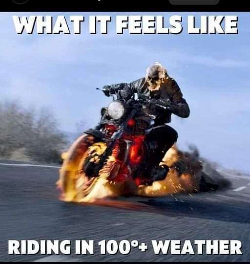 FB_IMG_1688423311679.