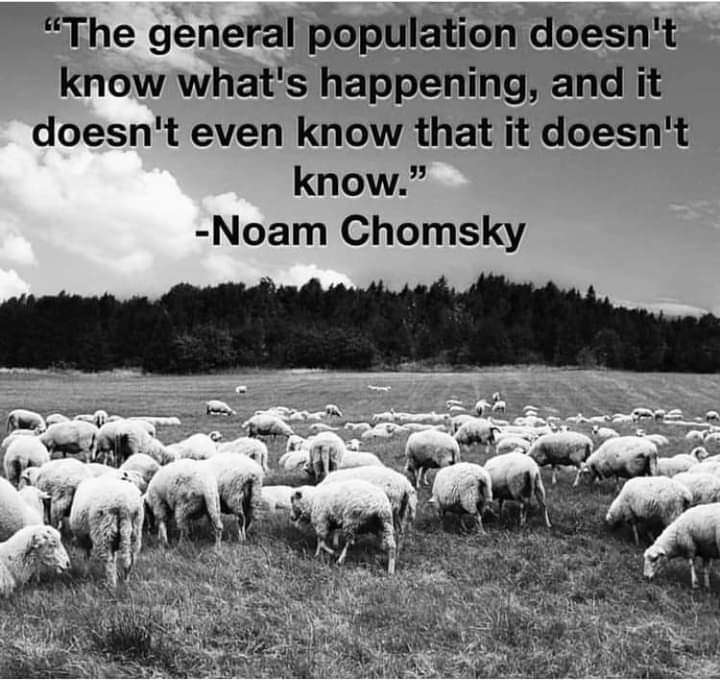 FB_IMG_1688859445165.