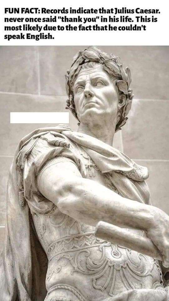 FB_IMG_1689207858949.