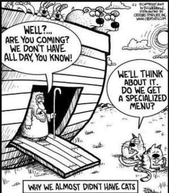 FB_IMG_1689984112771.