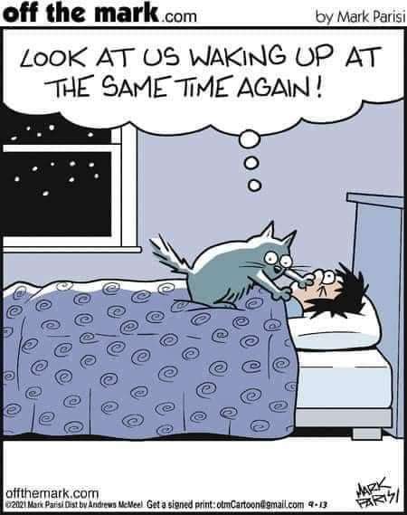 FB_IMG_1691344426053.