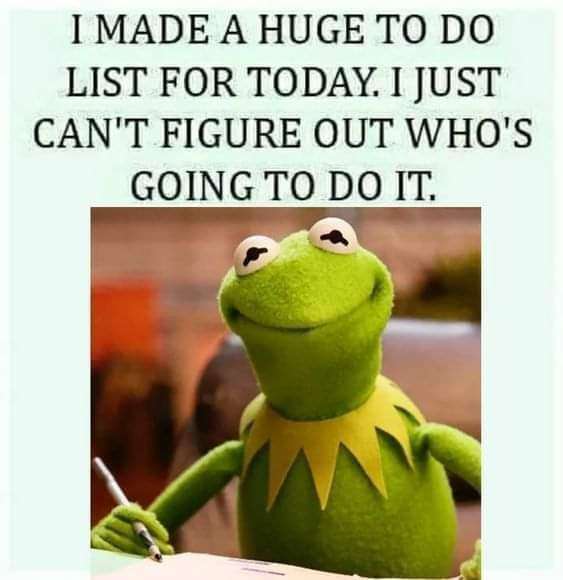 FB_IMG_1692663445673.