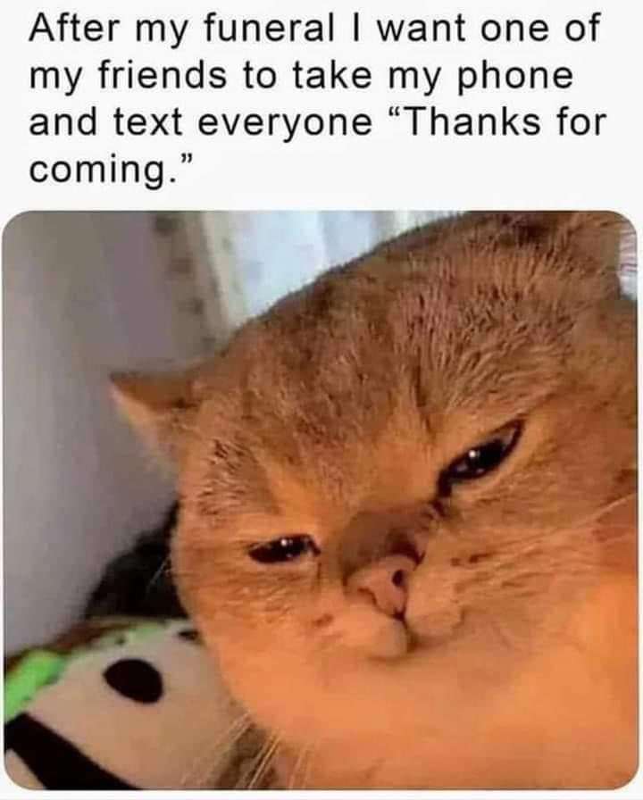 FB_IMG_1692663554958.