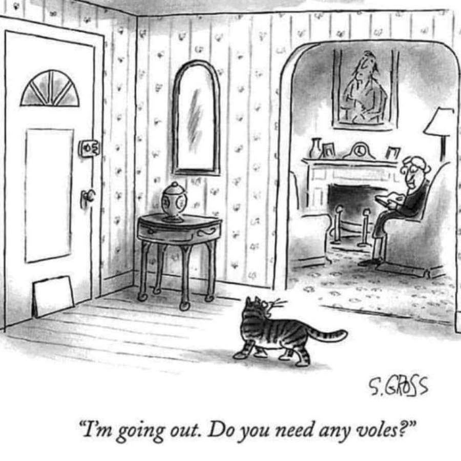 FB_IMG_1692663686112.