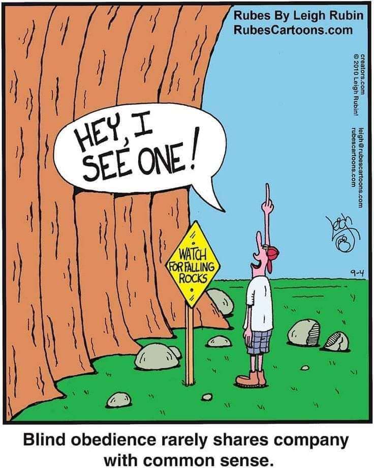 FB_IMG_1693984626071.