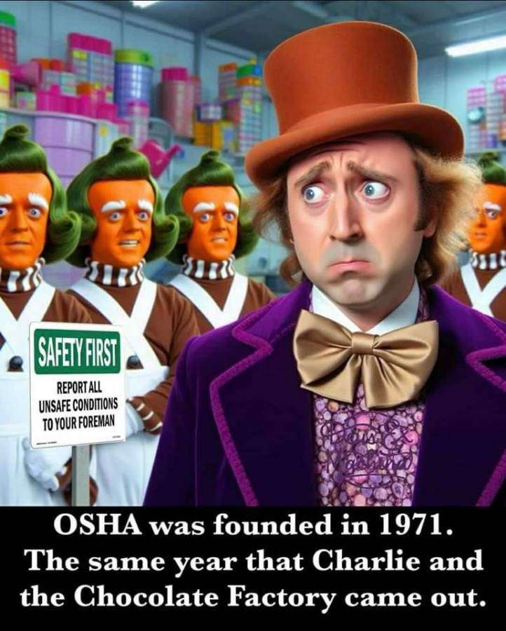 FB_IMG_1702255257705_jpg-3055911.