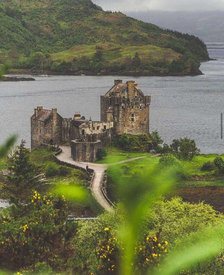 FB_IMG_1715221844532.