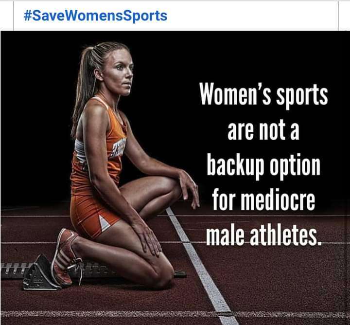 FB_IMG_1716210509754.