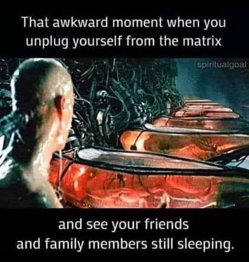 FB_IMG_1716560103757.