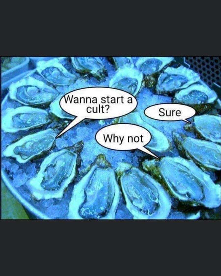 FB_IMG_1722121380792.