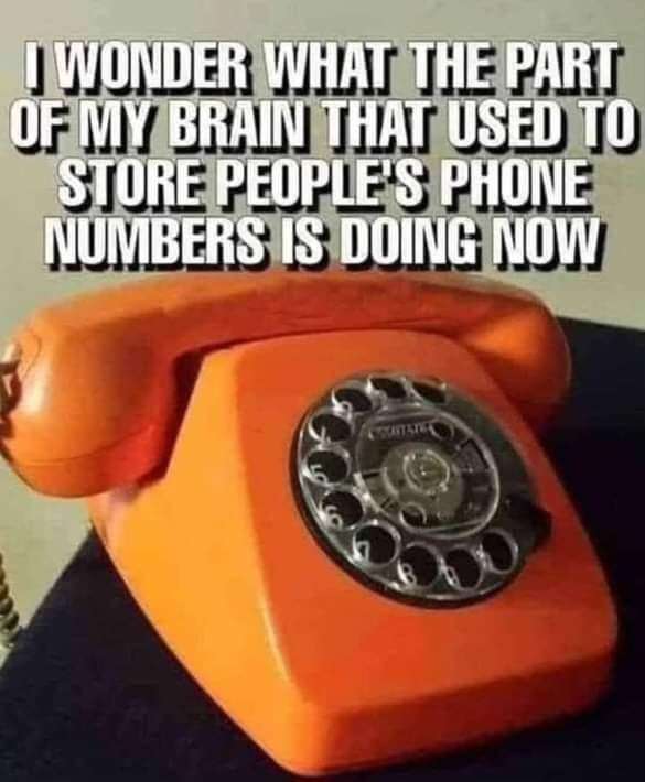 FB_IMG_1722174914323.