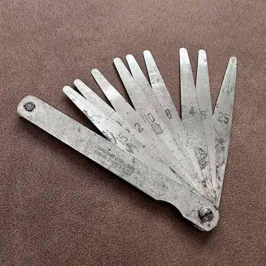 FB_IMG_1723246048769.