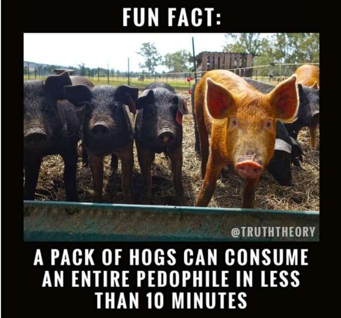 FB_IMG_1723286746774.