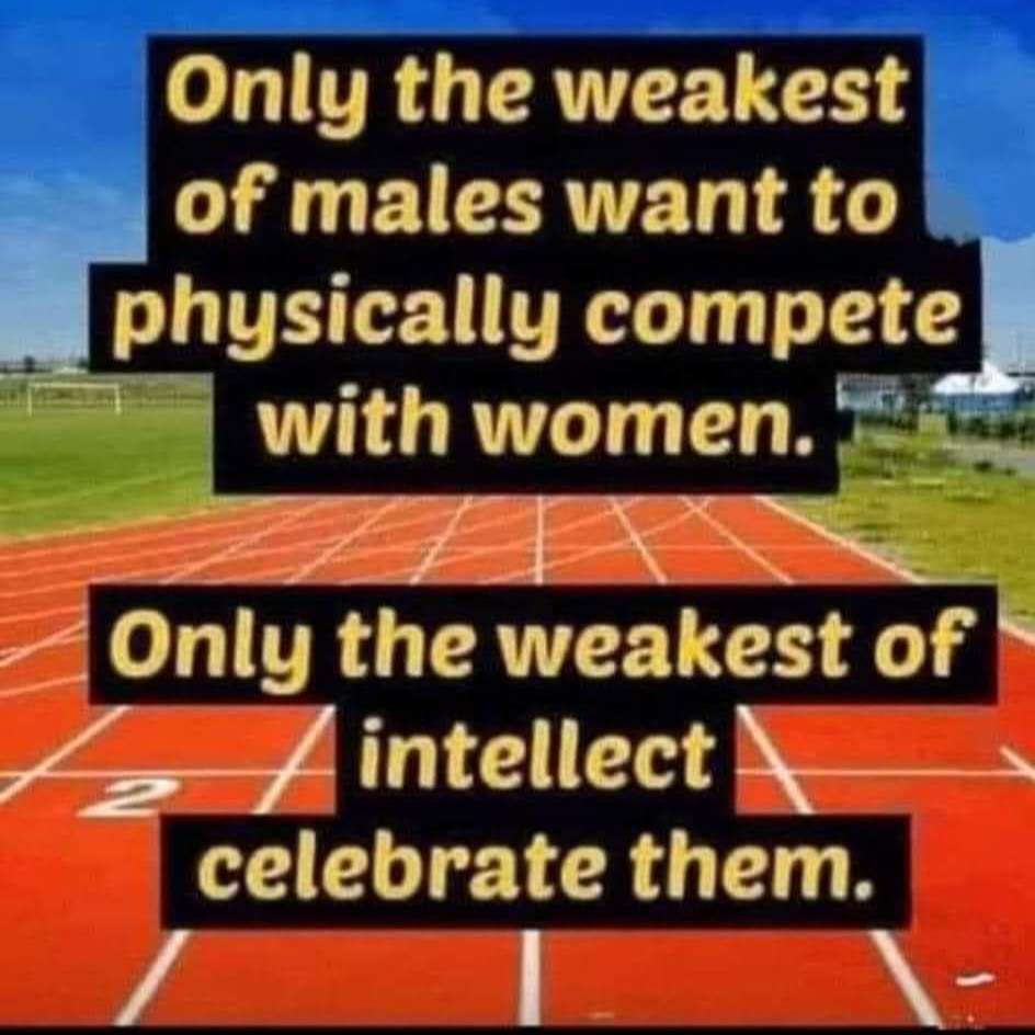 FB_IMG_1723299483034.