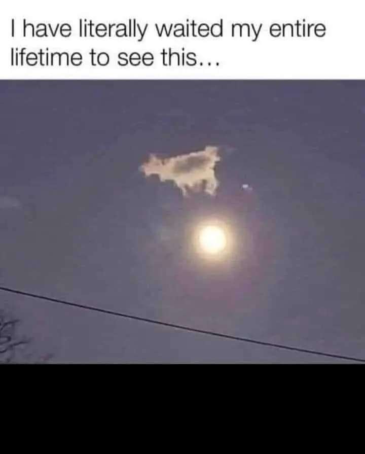 FB_IMG_1723637831671.