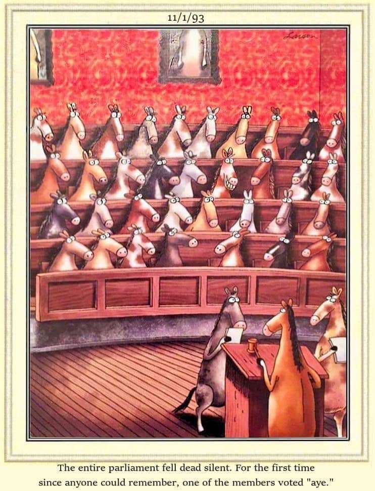 FB_IMG_1723758165990.