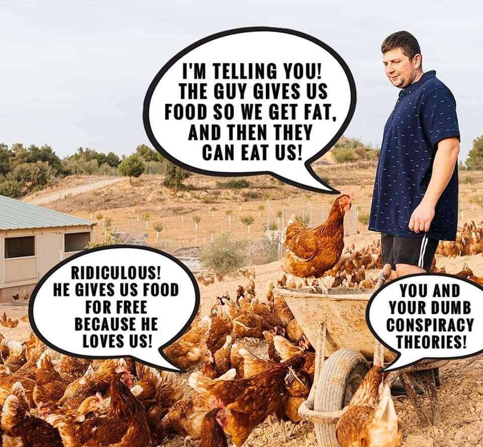 FB_IMG_1724164181223.