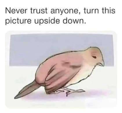 FB_IMG_1729970309888.