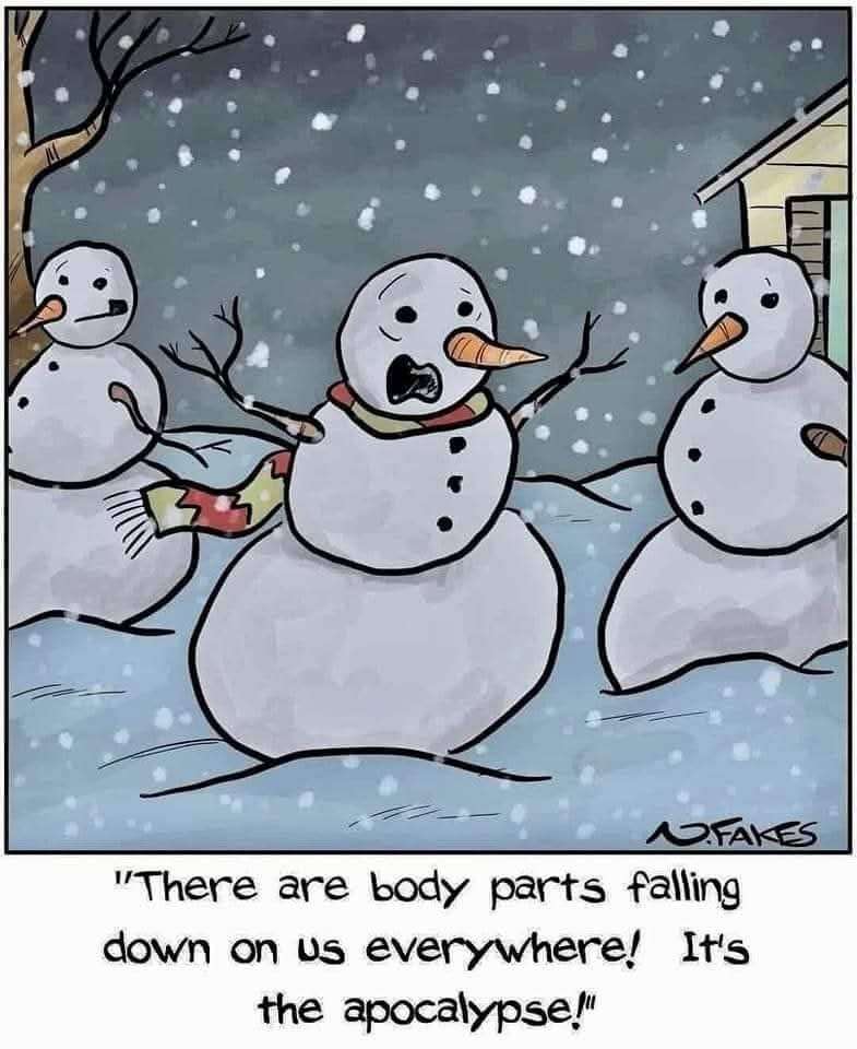 FB_IMG_1733677894416.