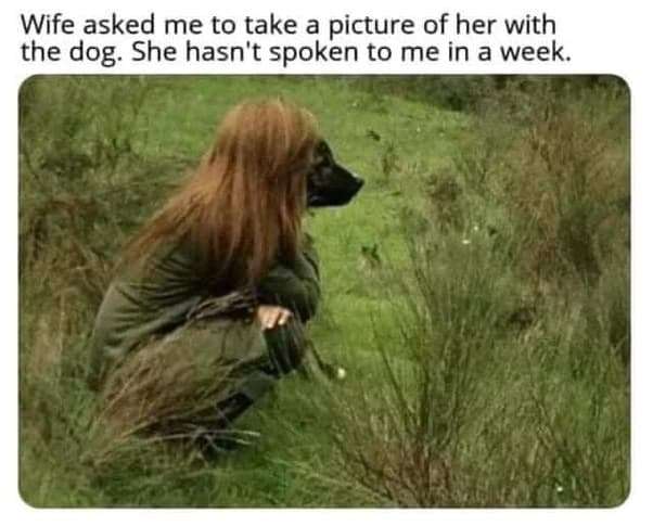 fe6e09600a39eddd3ba7edd4347acd1d4c5295c2.