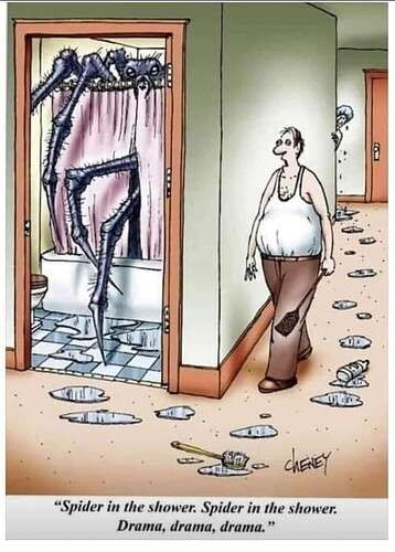 ffd73d262b94af237355338903148245ab282fa7_2_358x500.