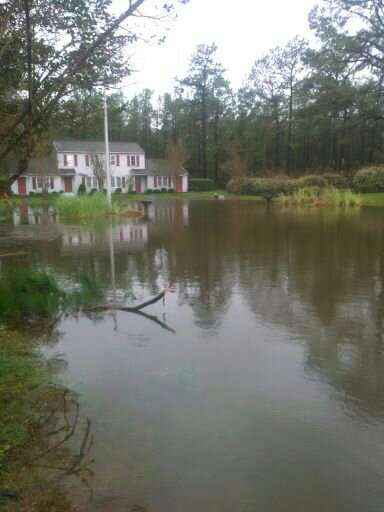 Florence flooding.